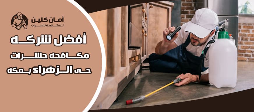شركة مكافحة حشرات حي الزهراء بمكة